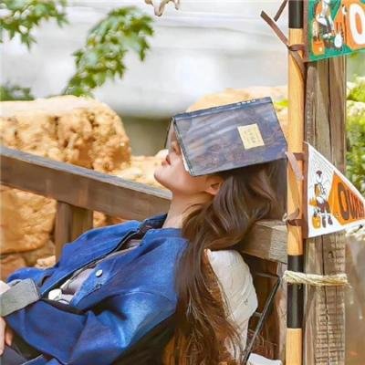 信长的忍者：姊川·石山篇